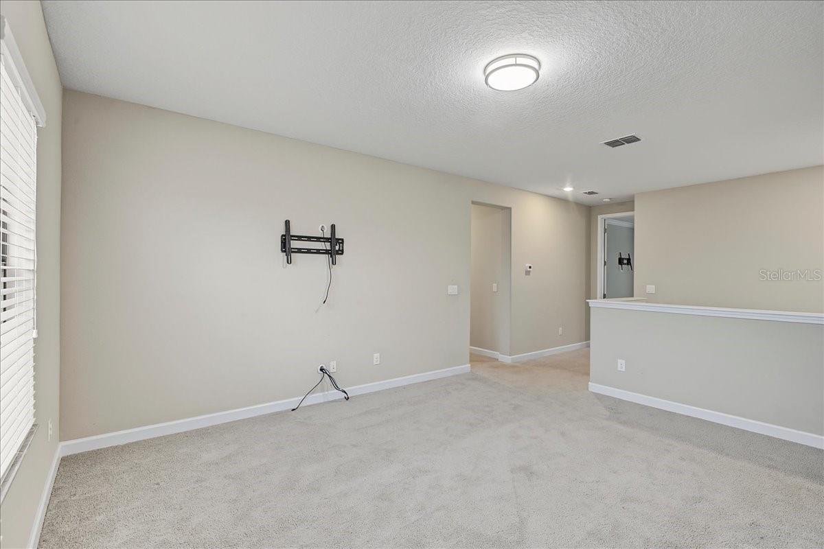 8099 Lago Mist Way Property Photo 32