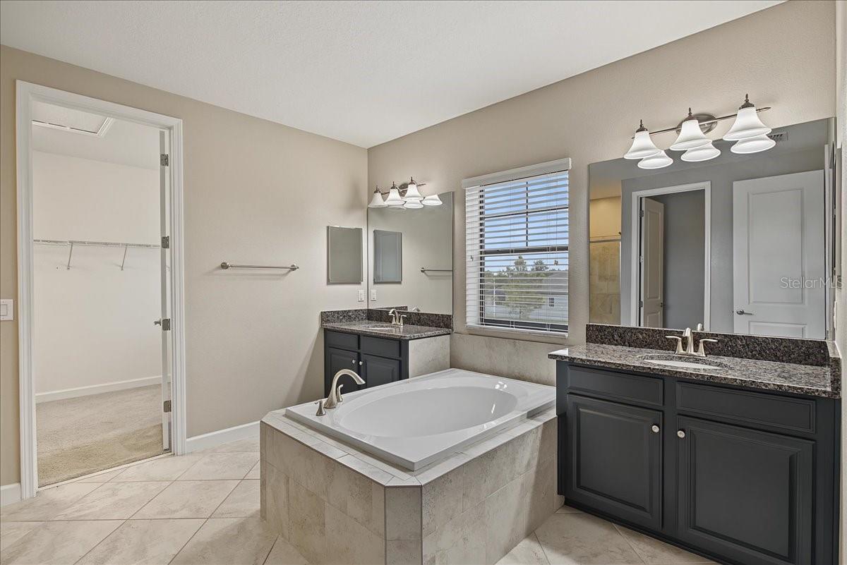 8099 Lago Mist Way Property Photo 38