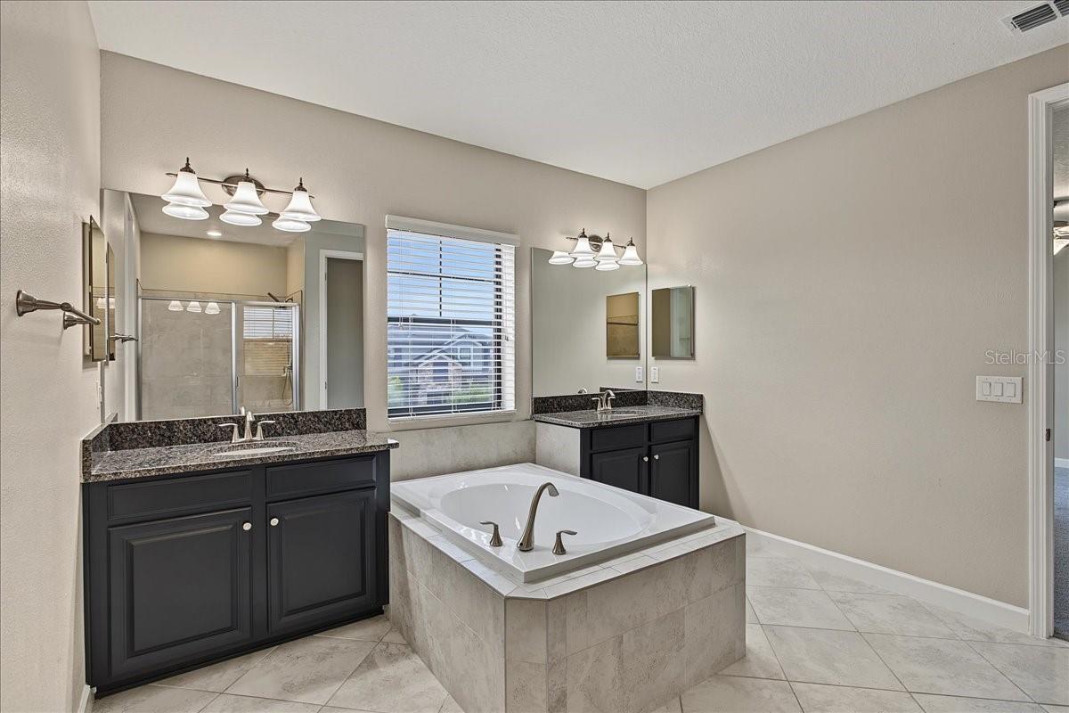 8099 Lago Mist Way Property Photo 39
