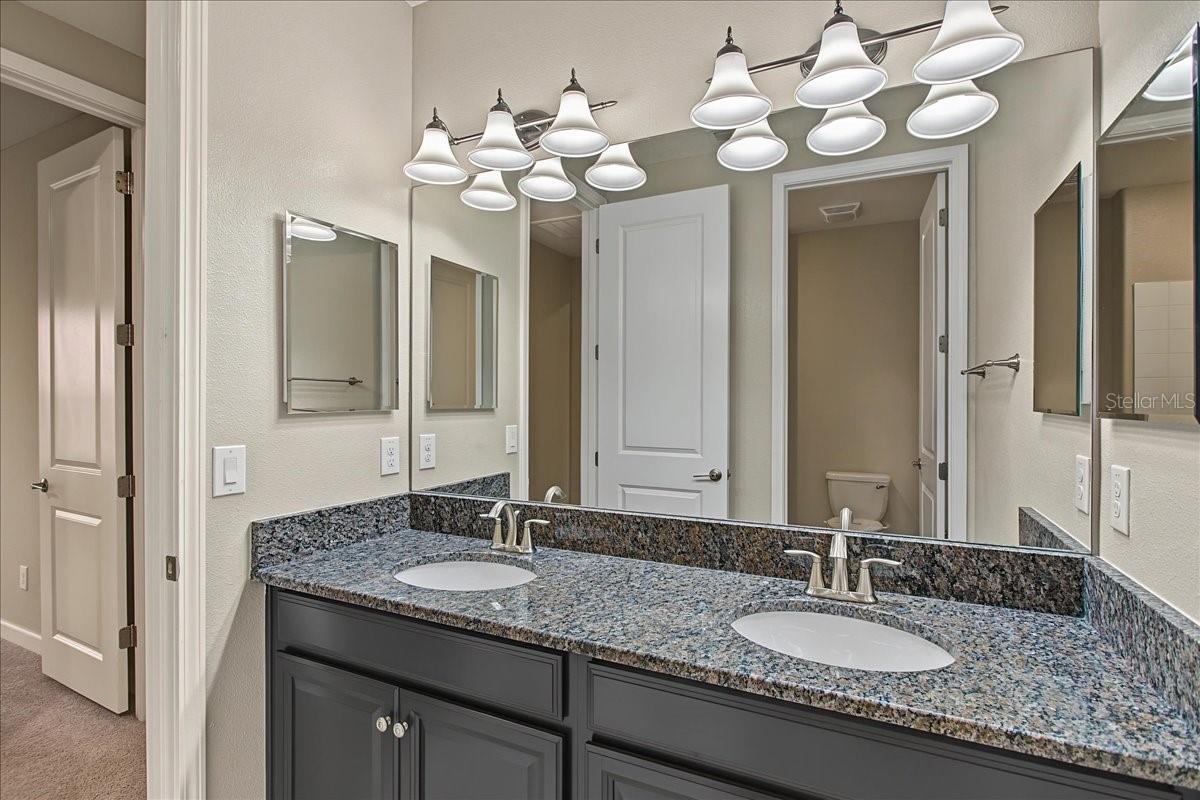 8099 Lago Mist Way Property Photo 56
