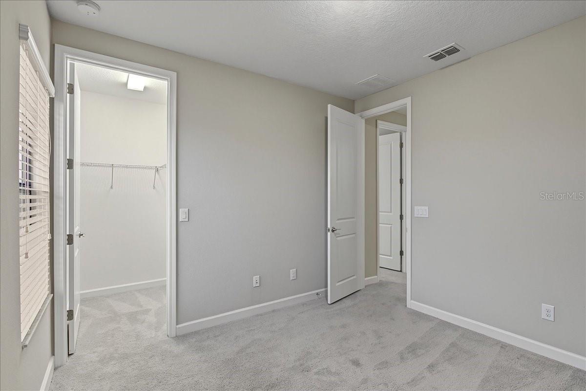 8099 Lago Mist Way Property Photo 59