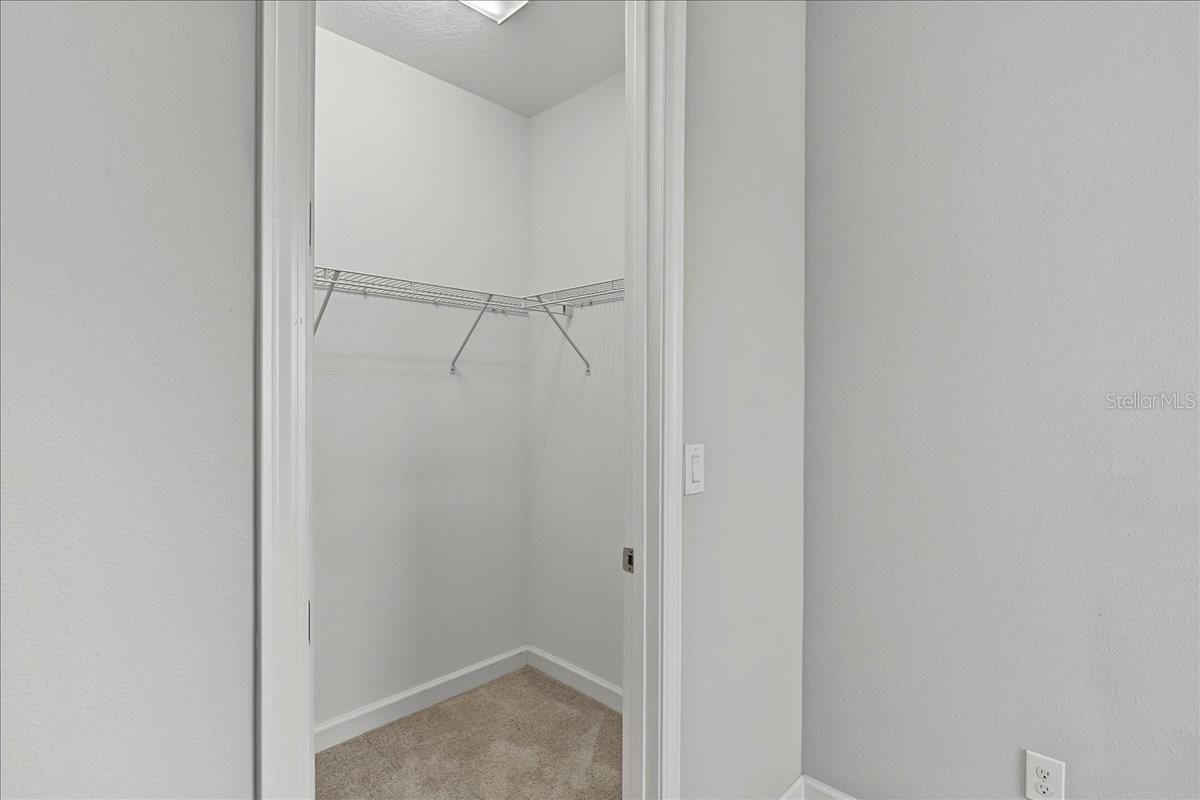 8099 Lago Mist Way Property Photo 67