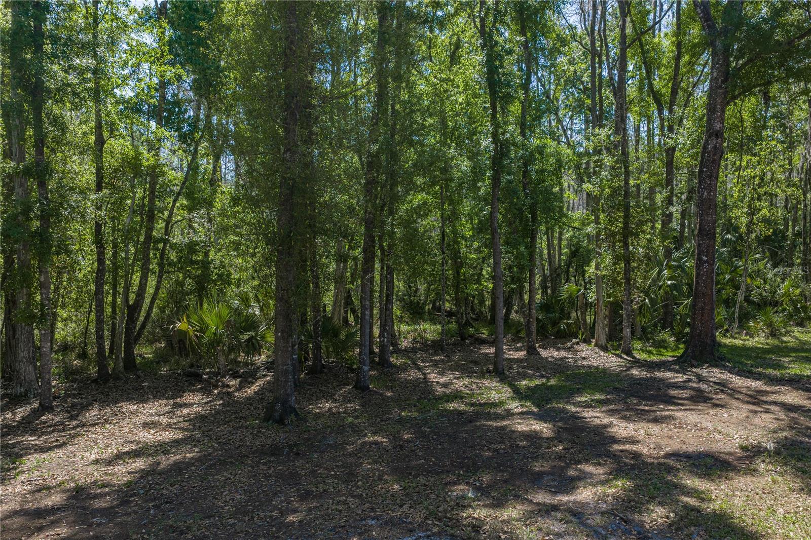 8600 Shenandoah Run Property Photo 49