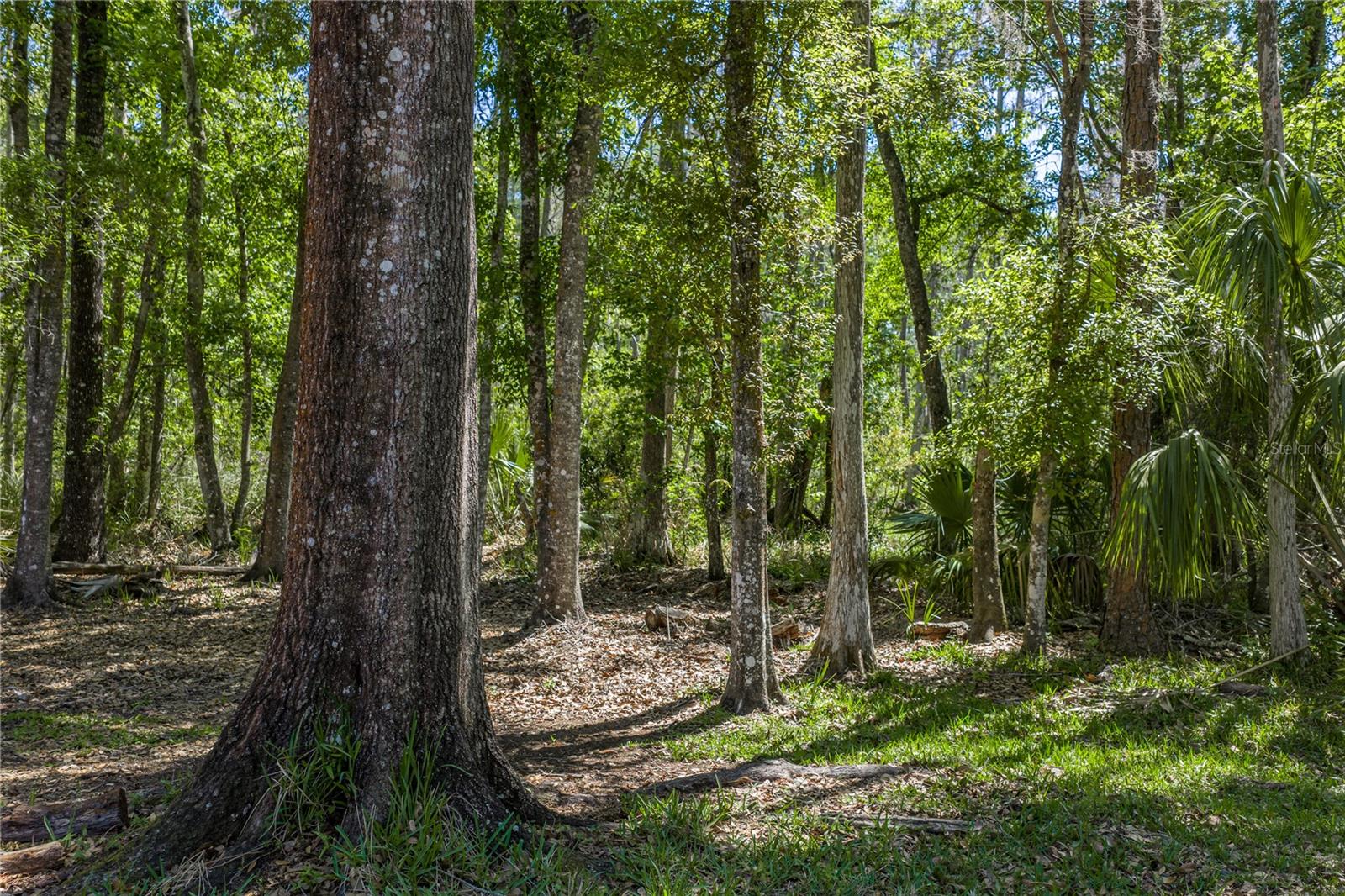 8600 Shenandoah Run Property Photo 50