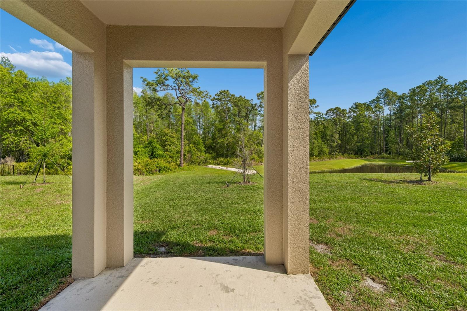 10065 Gentle Rain Dr Property Photo 38