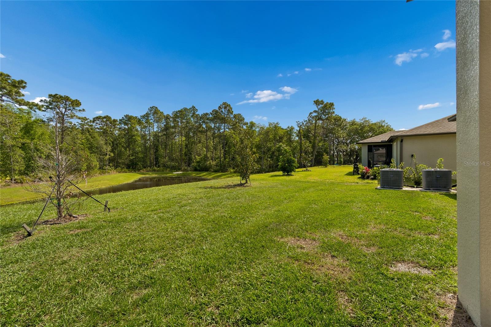 10065 Gentle Rain Dr Property Photo 39