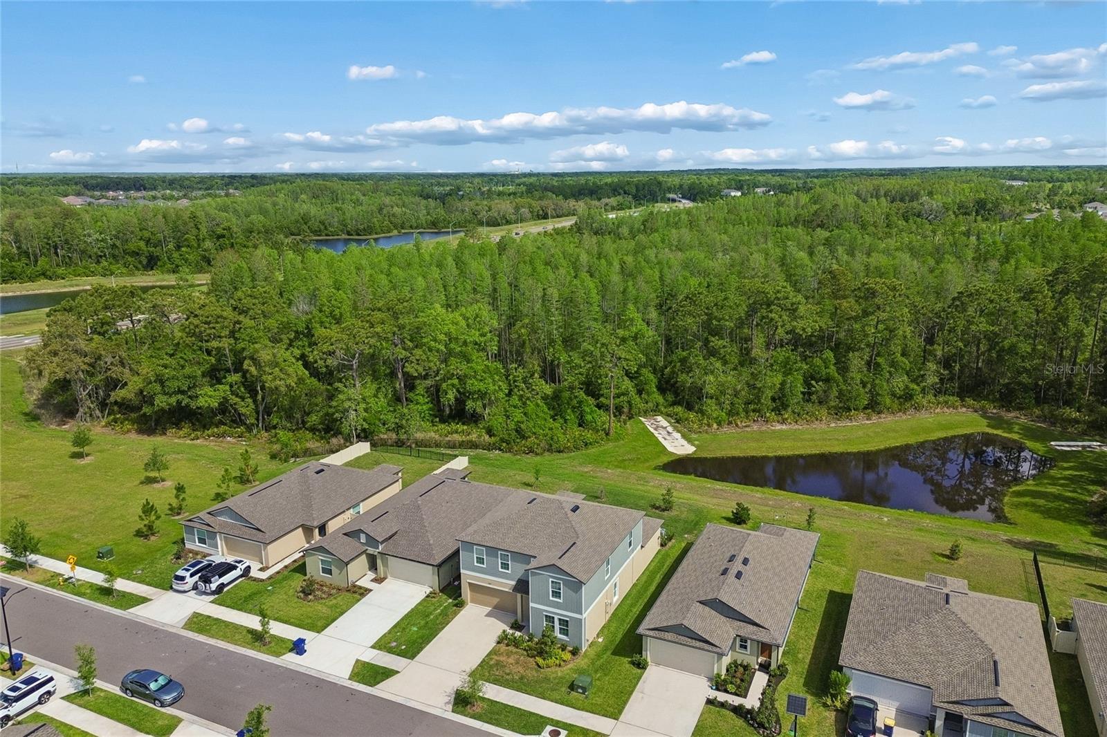 10065 Gentle Rain Dr Property Photo 45