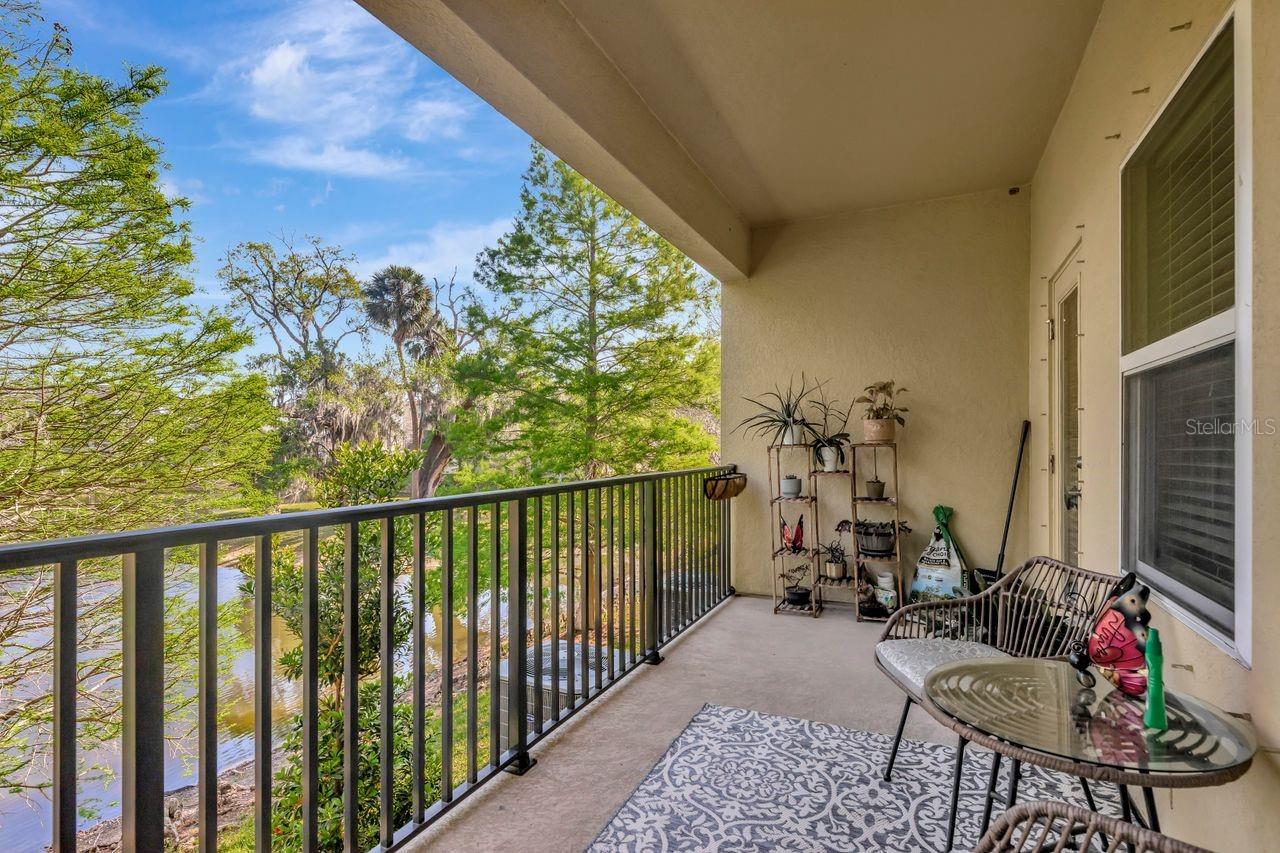 4551 Tuscan Loon Dr Property Photo 32
