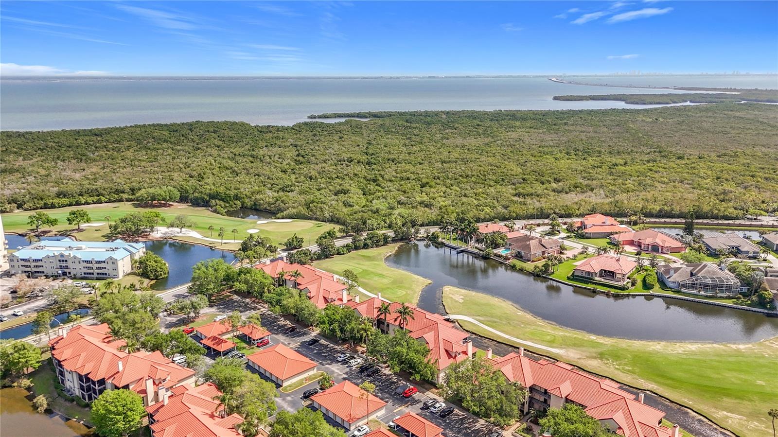 2400 Feather Sound Dr #933 Property Photo 62