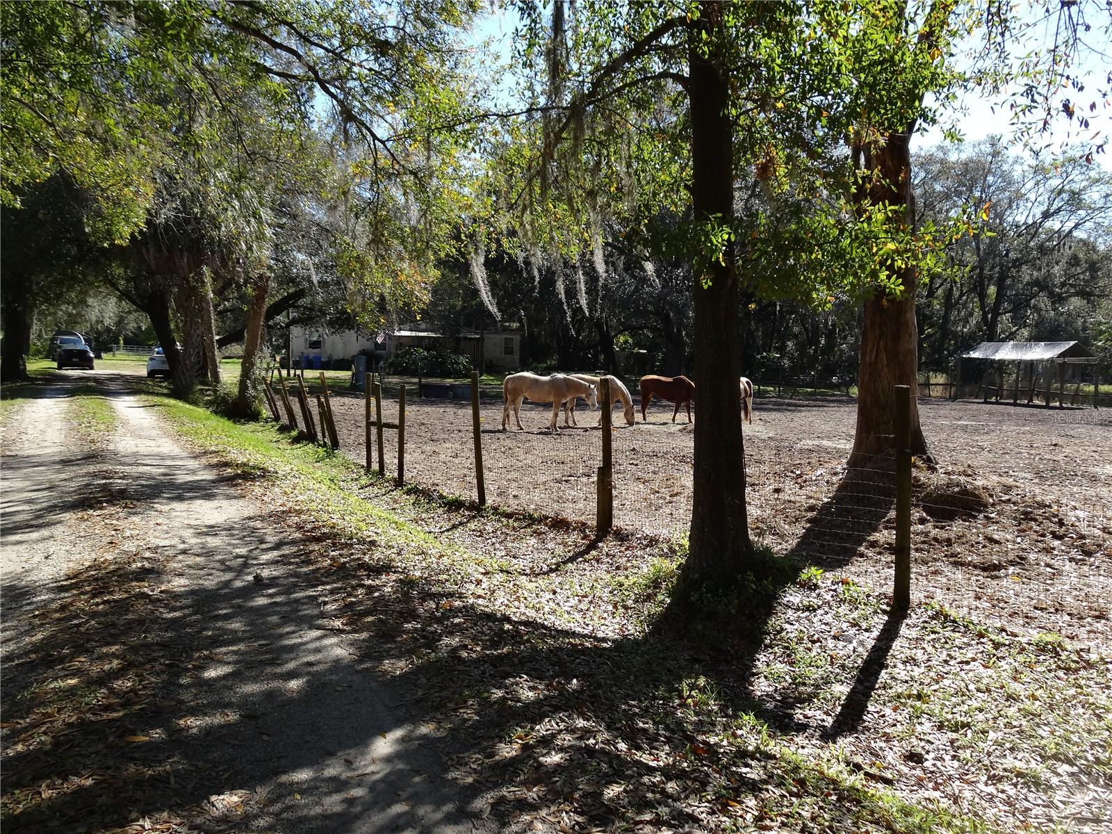 5614 Watson Property Photo 7