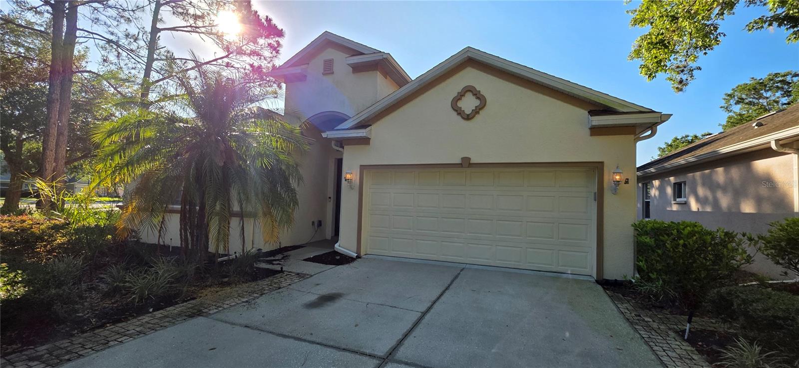 10906 TREE CACTUS LOOP Property Photo 1
