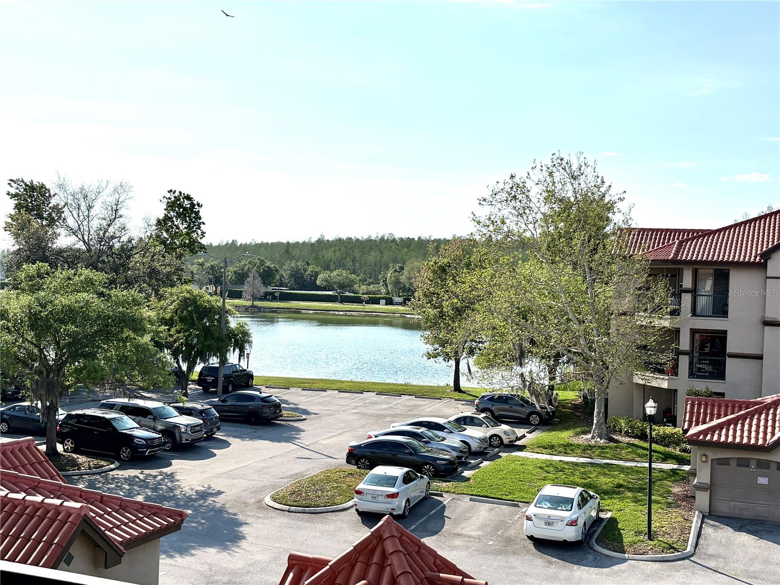 18107 Peregrines Perch Pl #6303 Property Photo 23