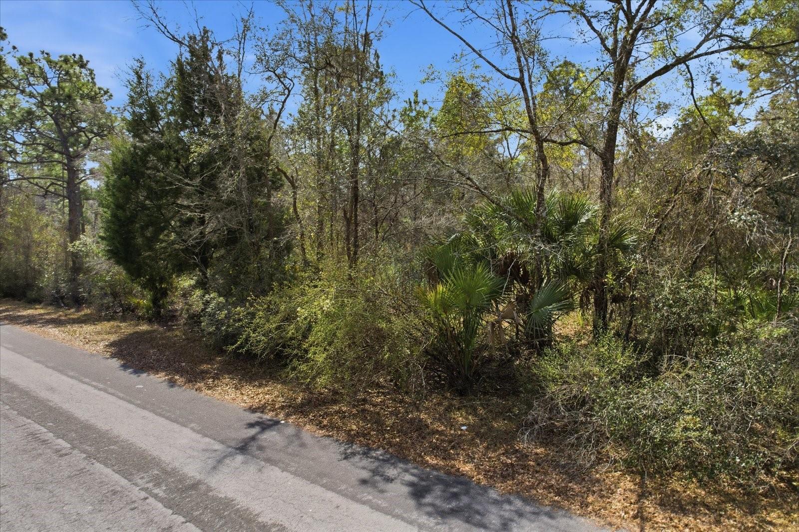 9568 N Dawnflower Ave Property Photo 2
