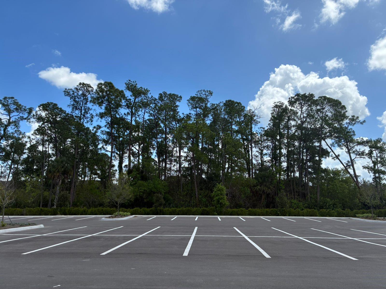 5587 Millenia Park Blvd #318 Property Photo 6