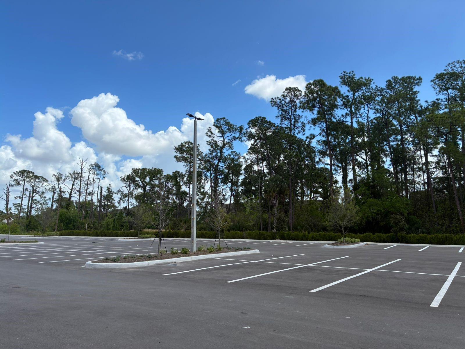 5587 Millenia Park Blvd #318 Property Photo 7