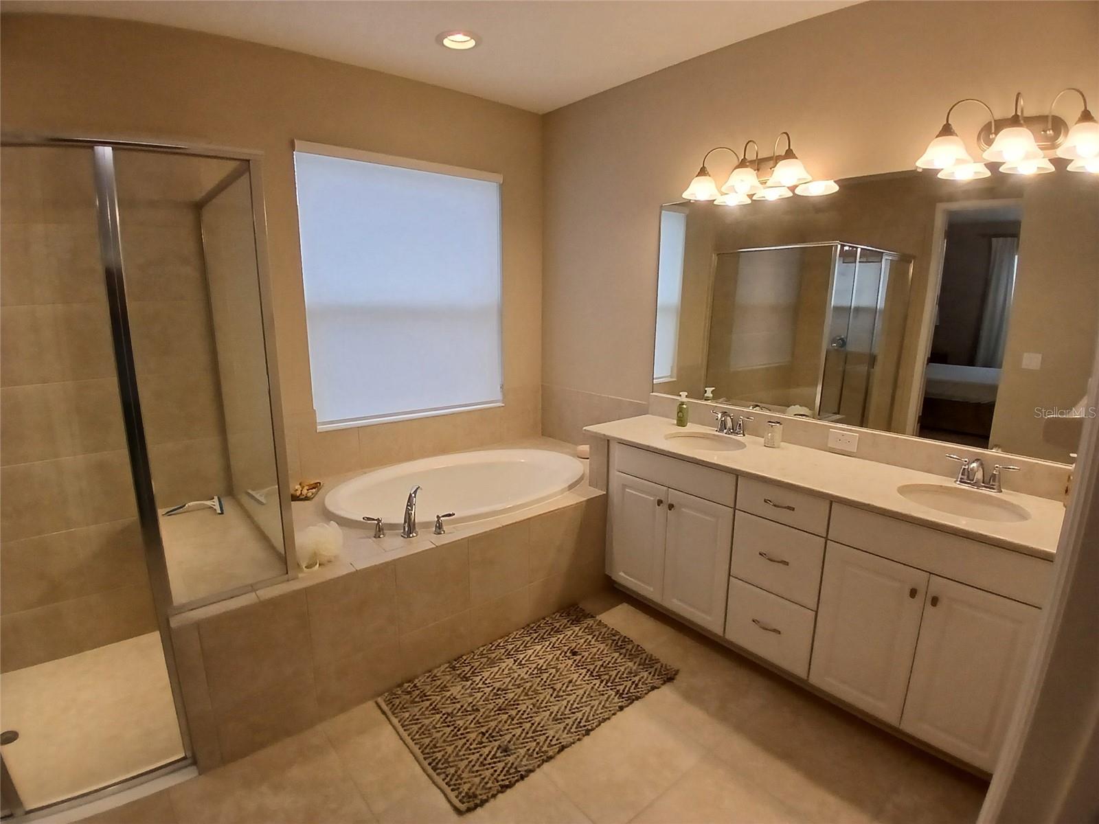 29900 Walsh Oak Dr Property Photo 49