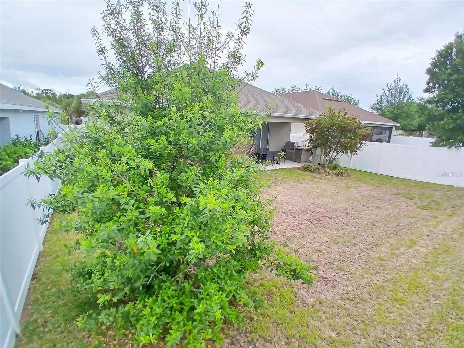 29900 Walsh Oak Dr Property Photo 60