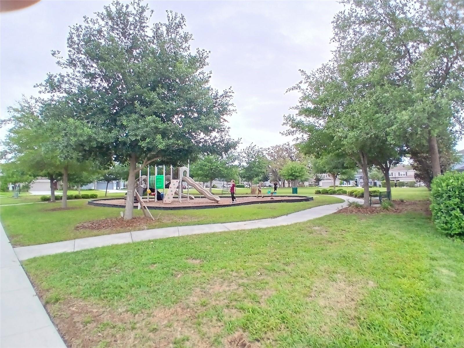 29900 Walsh Oak Dr Property Photo 75