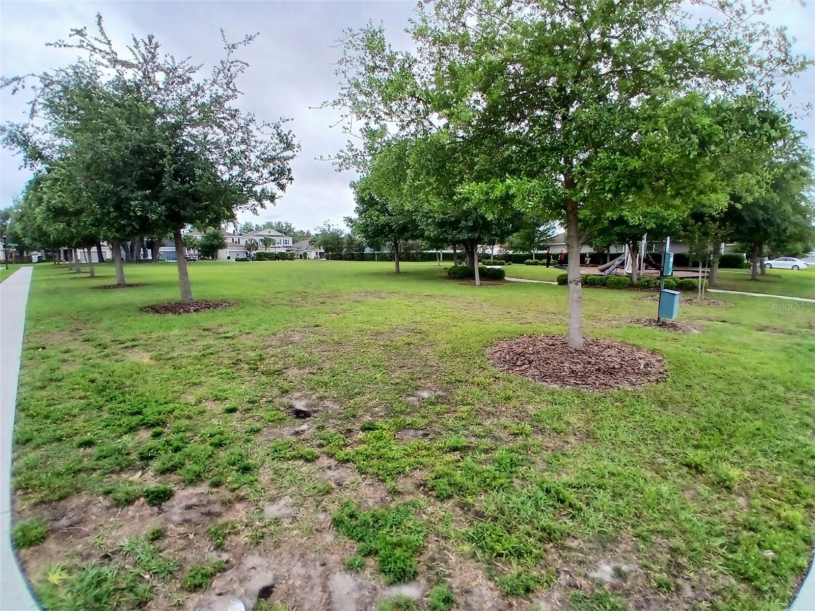 29900 Walsh Oak Dr Property Photo 80