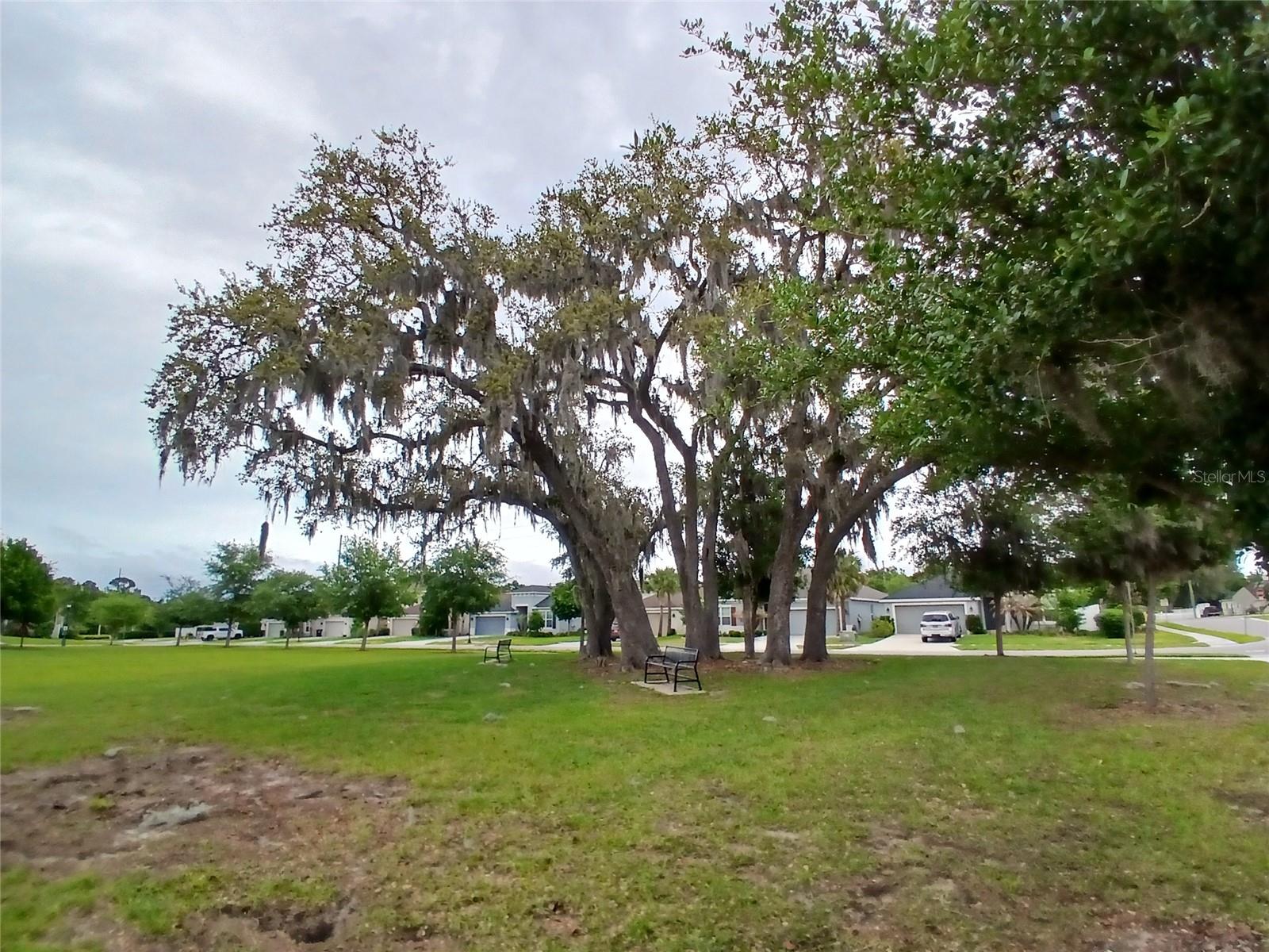 29900 Walsh Oak Dr Property Photo 85