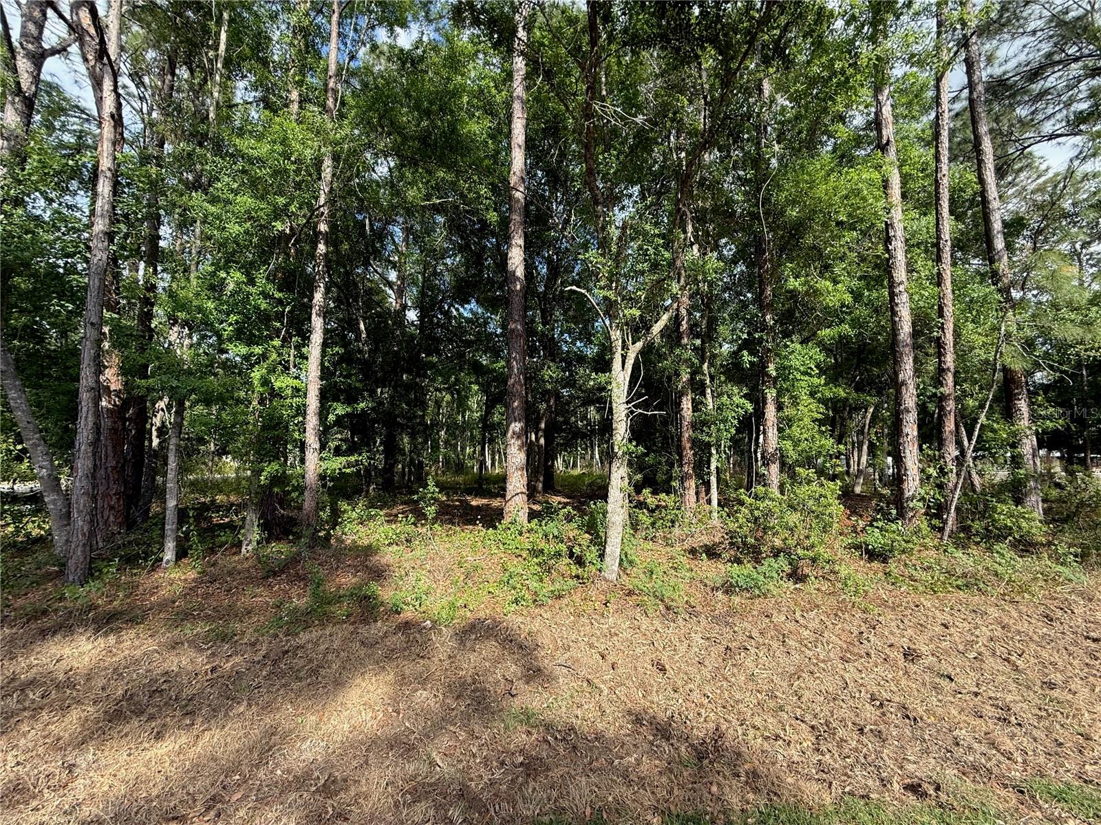 Quail Hollow Blvd Property Photo 5