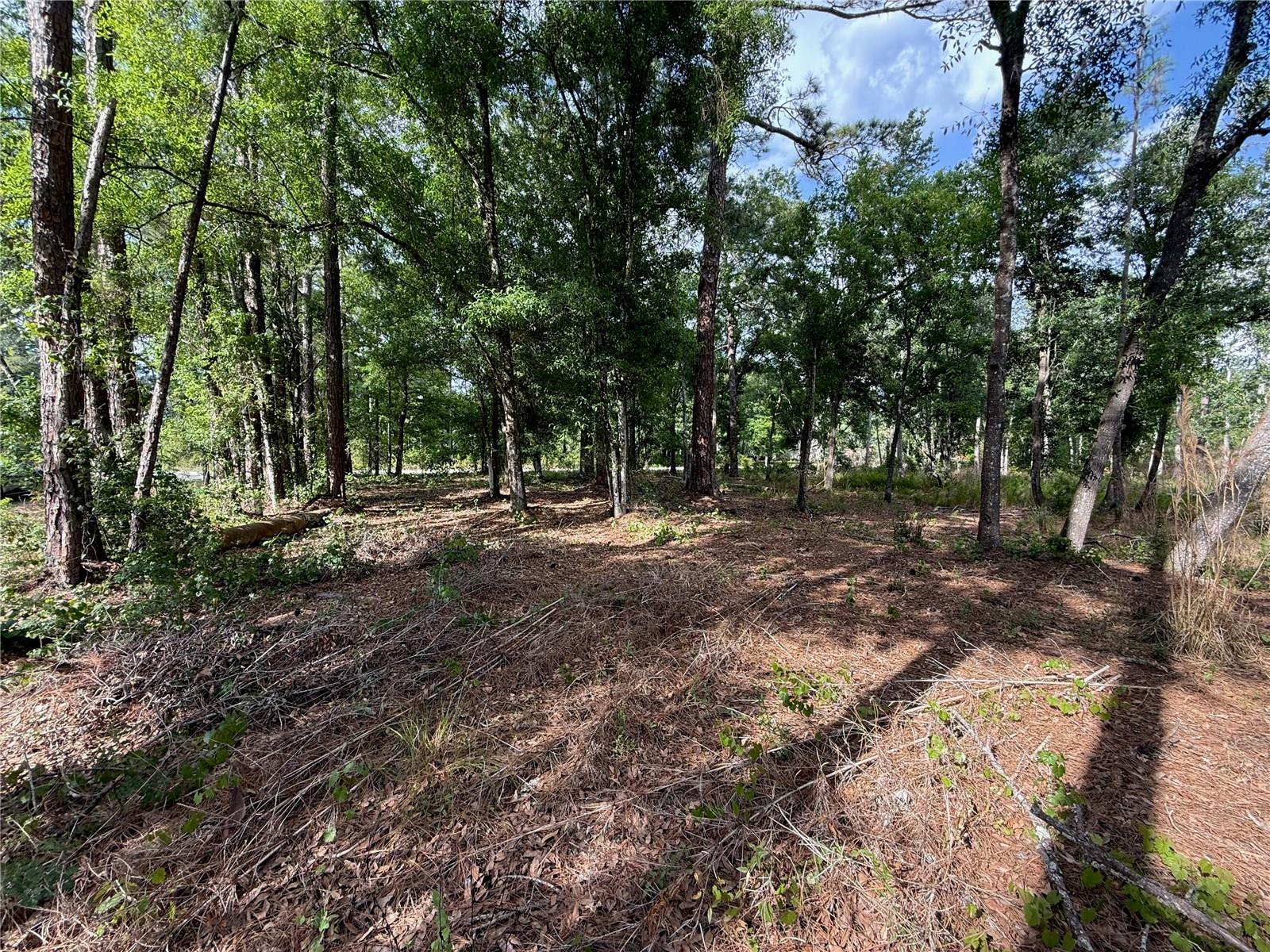 Quail Hollow Blvd Property Photo 6