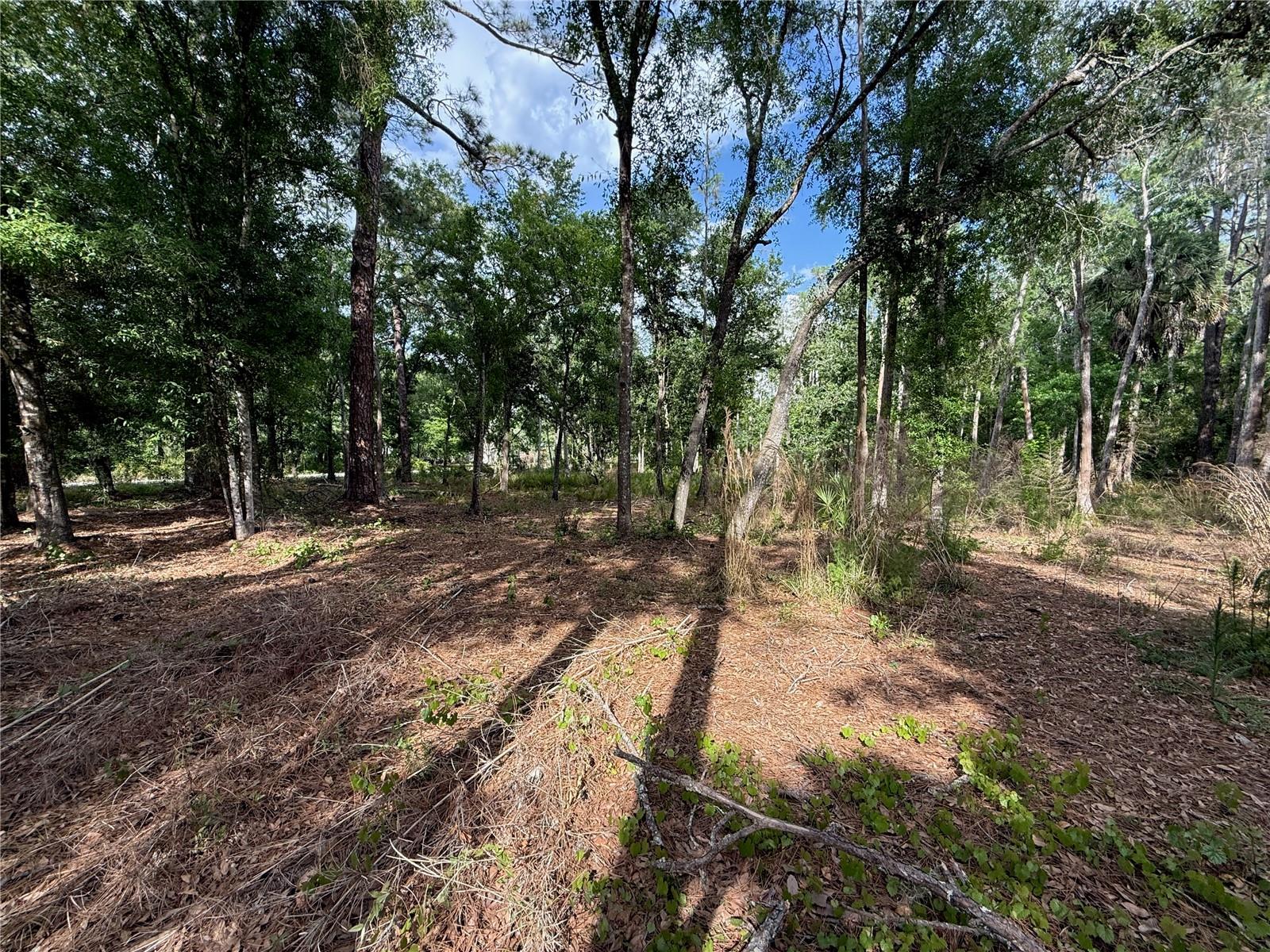 Quail Hollow Blvd Property Photo 7