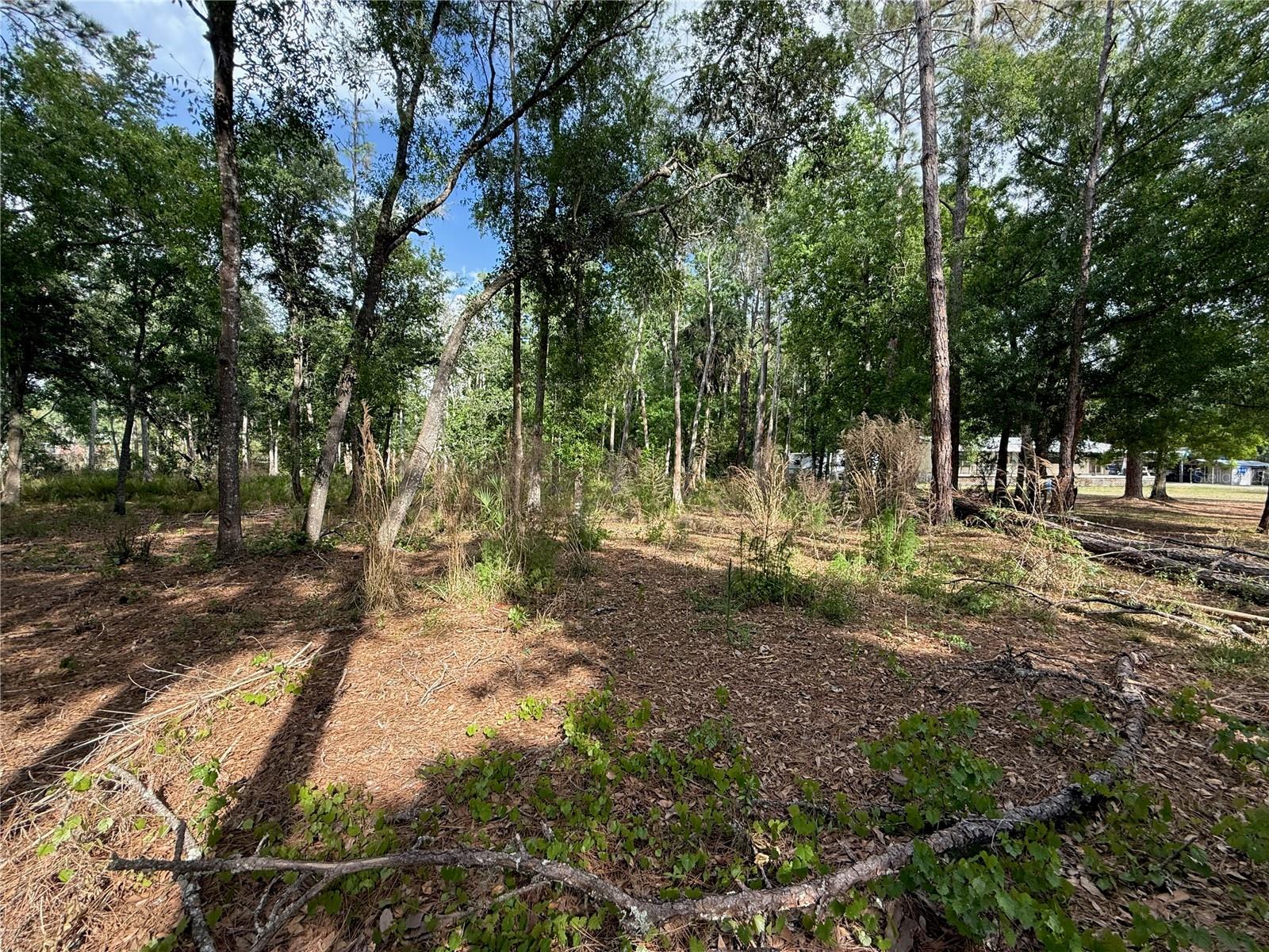 Quail Hollow Blvd Property Photo 8