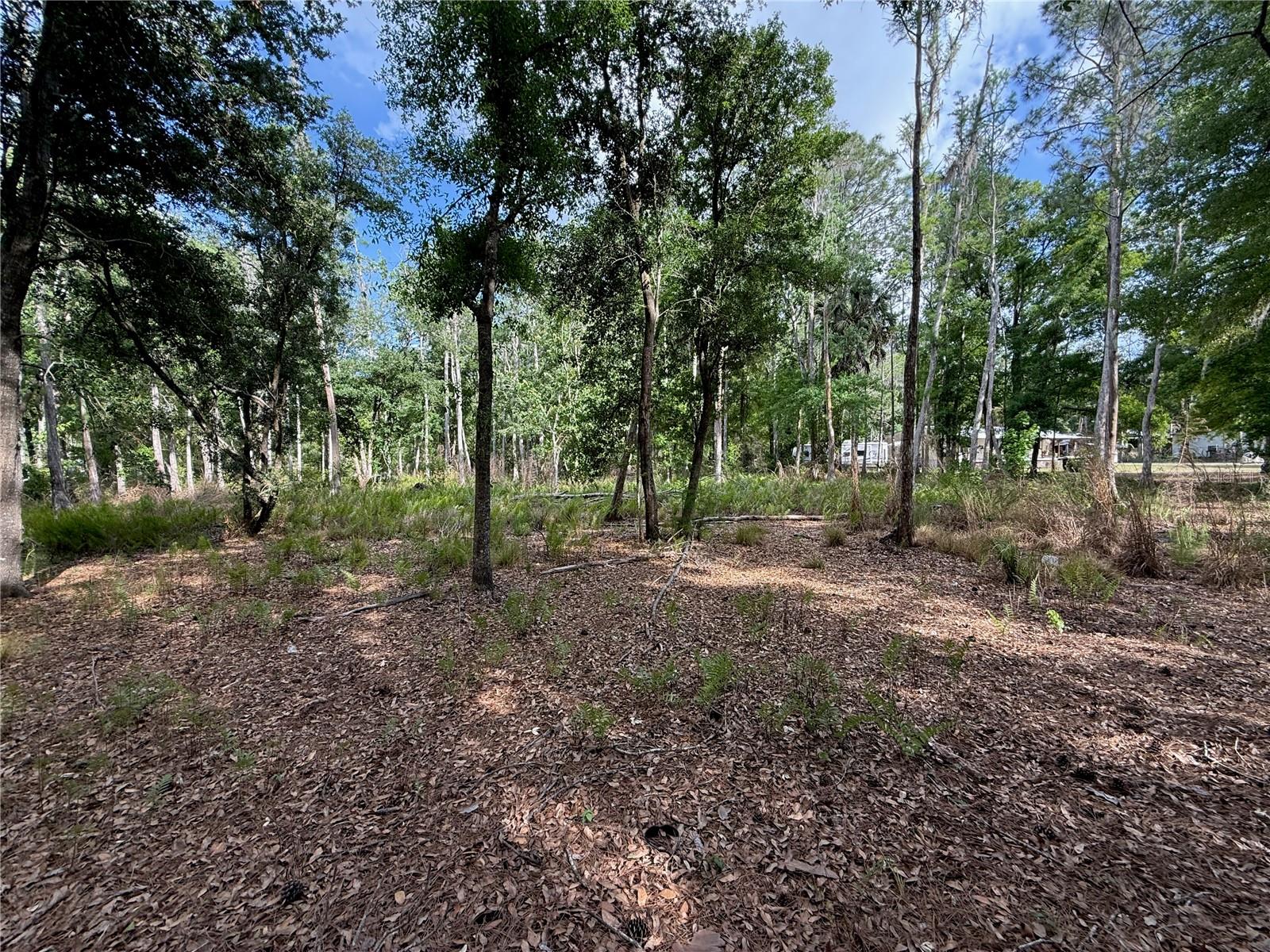 Quail Hollow Blvd Property Photo 9