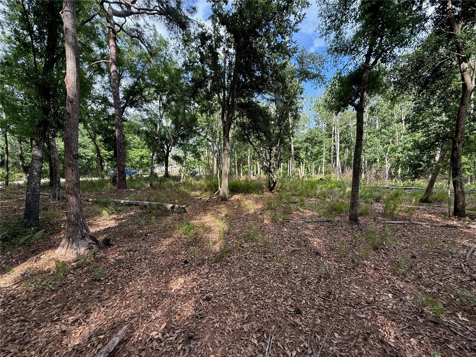 Quail Hollow Blvd Property Photo 10