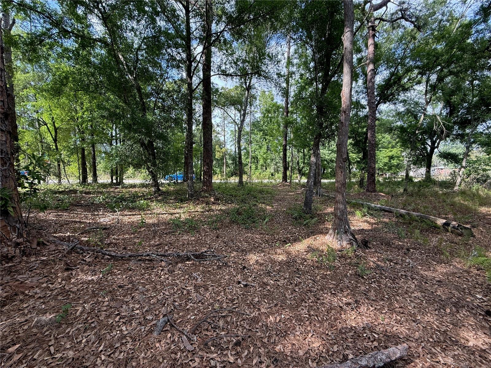 Quail Hollow Blvd Property Photo 11