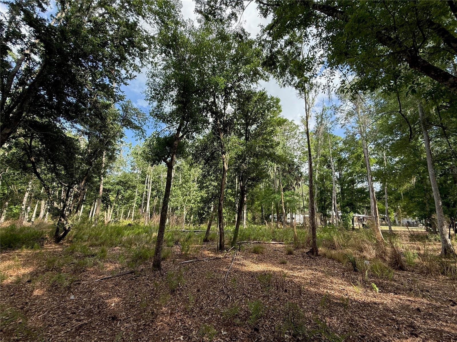 Quail Hollow Blvd Property Photo 12