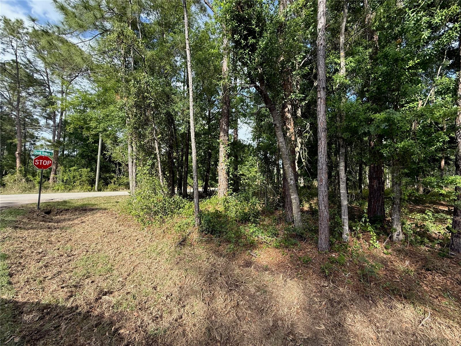 Quail Hollow Blvd Property Photo 13