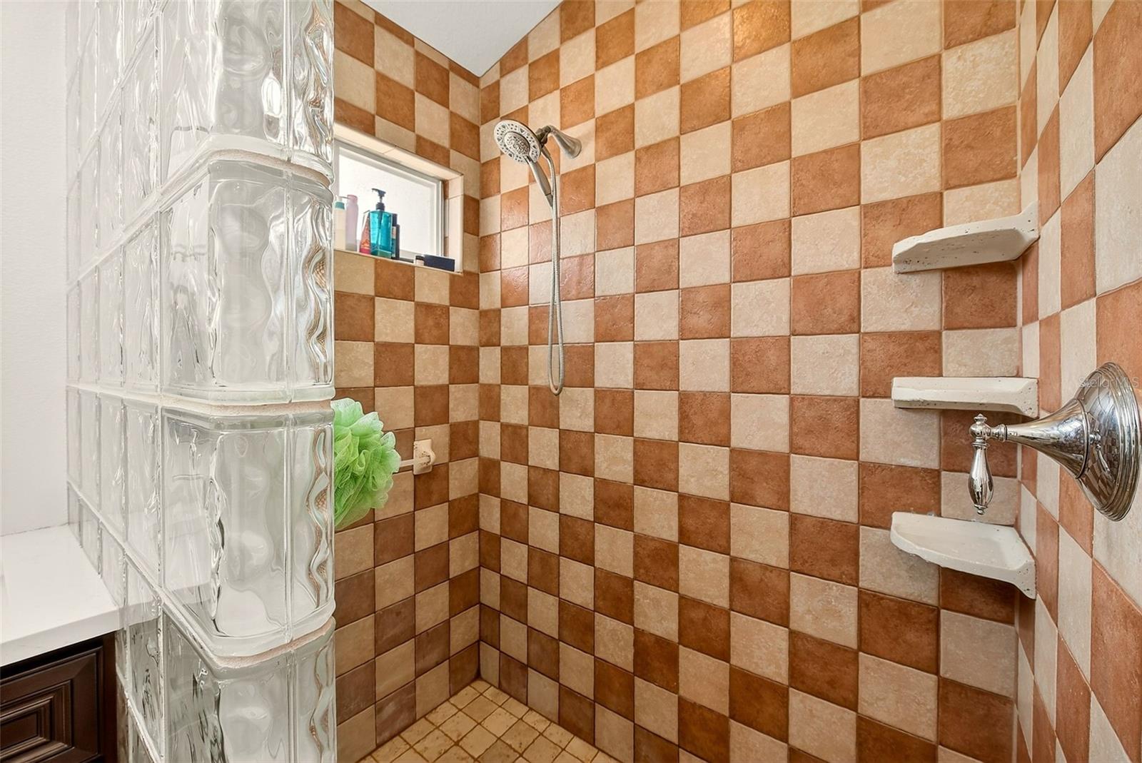 2927 Hickory Grove Dr Property Photo 26