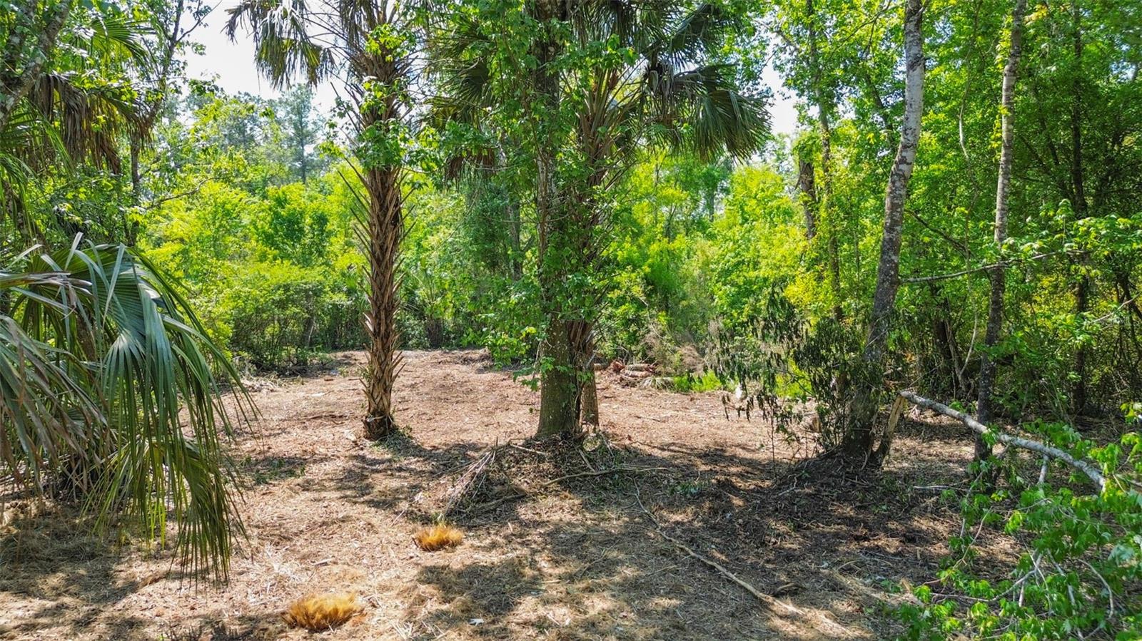 0 Muddy Water Trl Property Photo 1