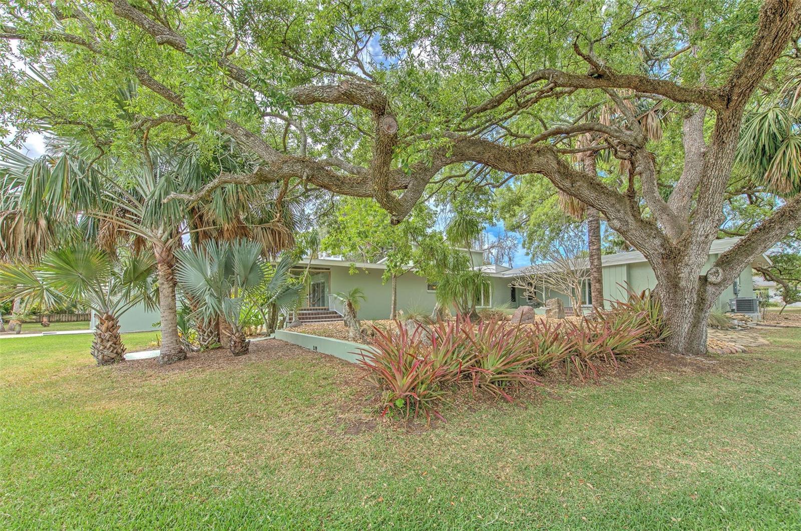 7102 Mandy Ln Property Photo 43