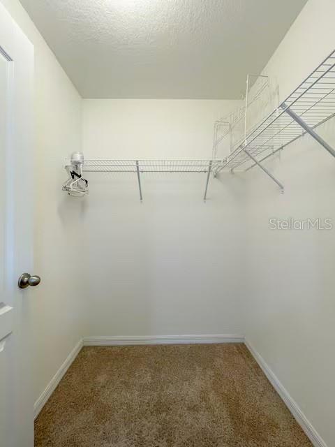 10108 Hawk Storm Ave Property Photo 19