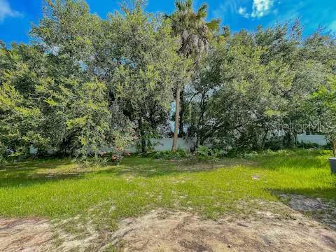 10108 Hawk Storm Ave Property Photo 40