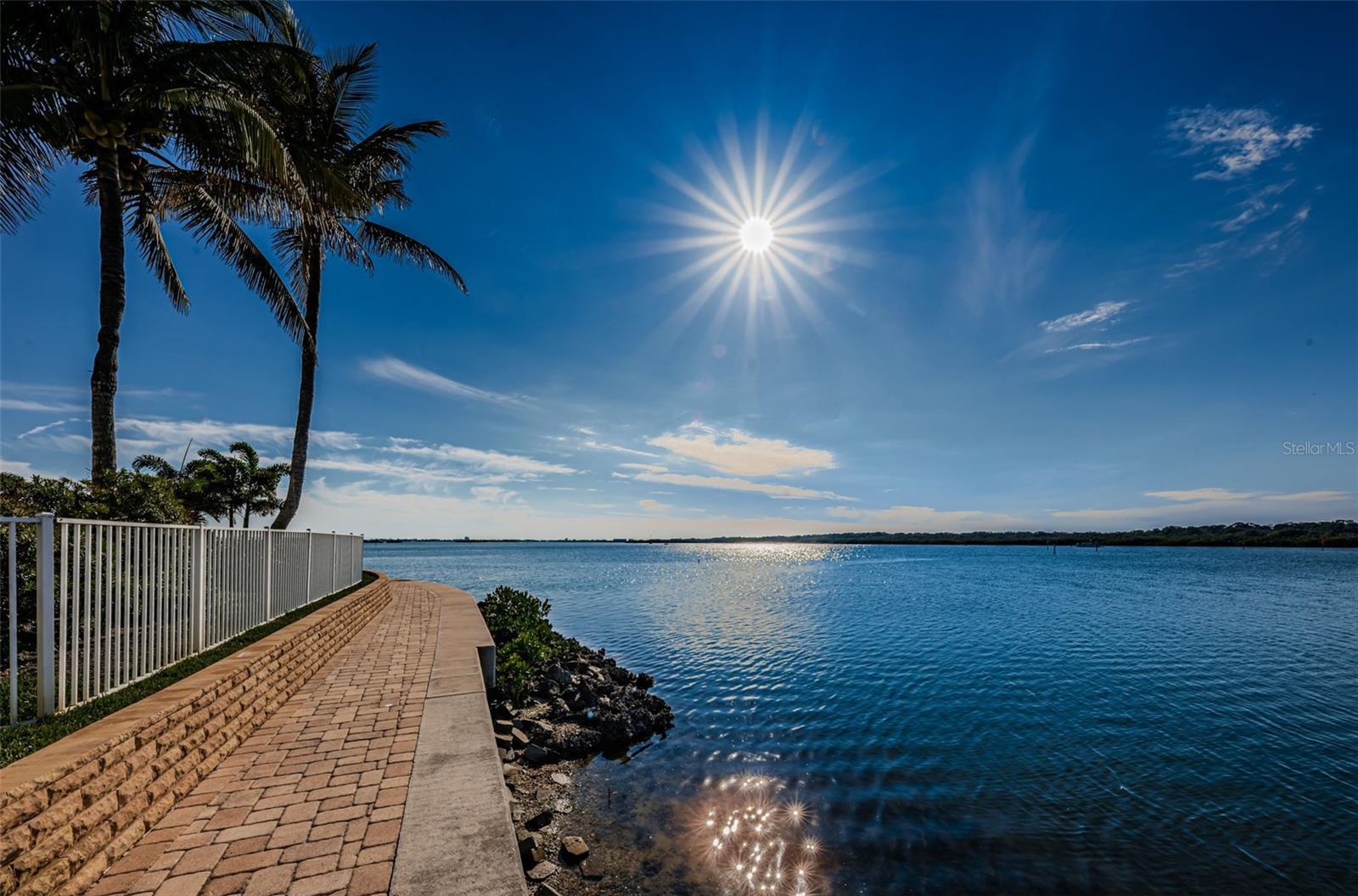8800 Bay Pines Blvd #303 Property Photo 40