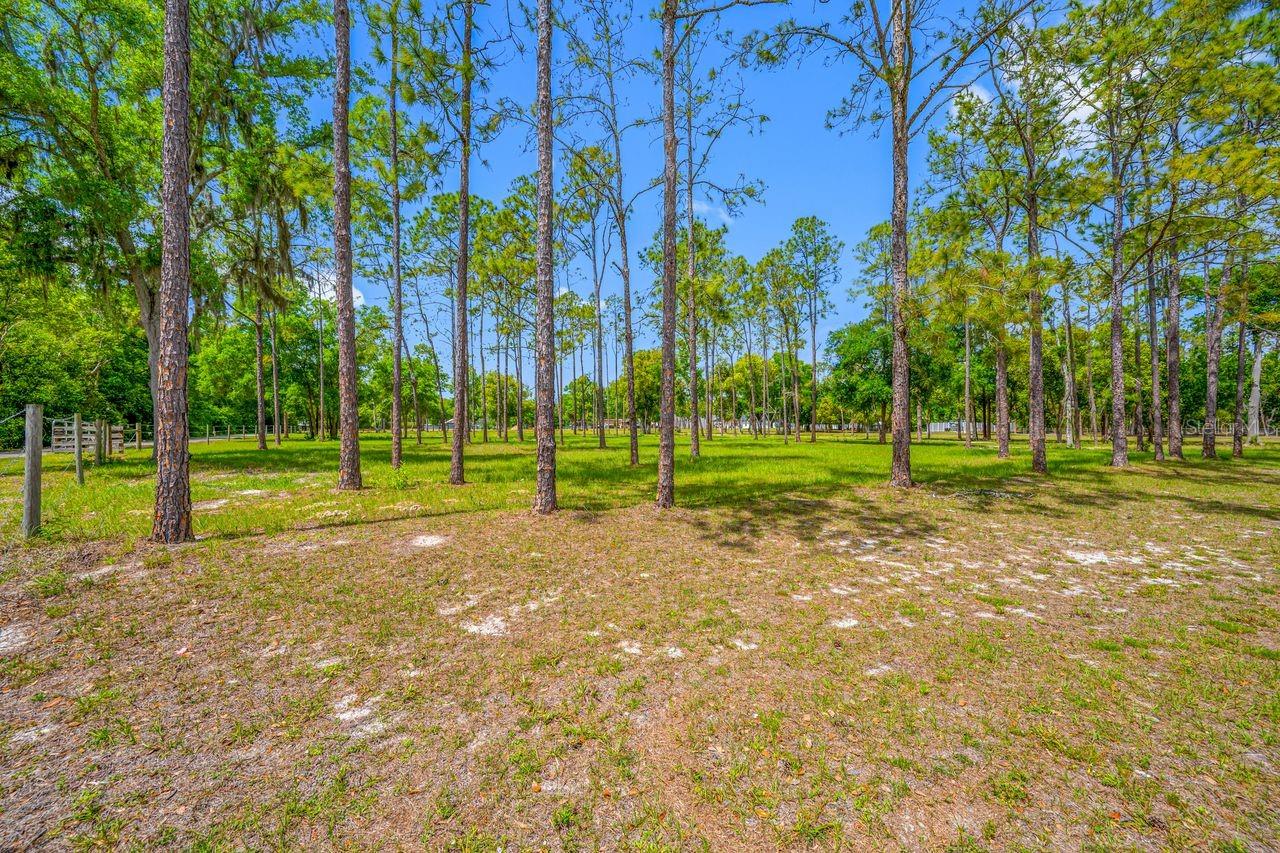 0 Hanna Rd Property Photo 30