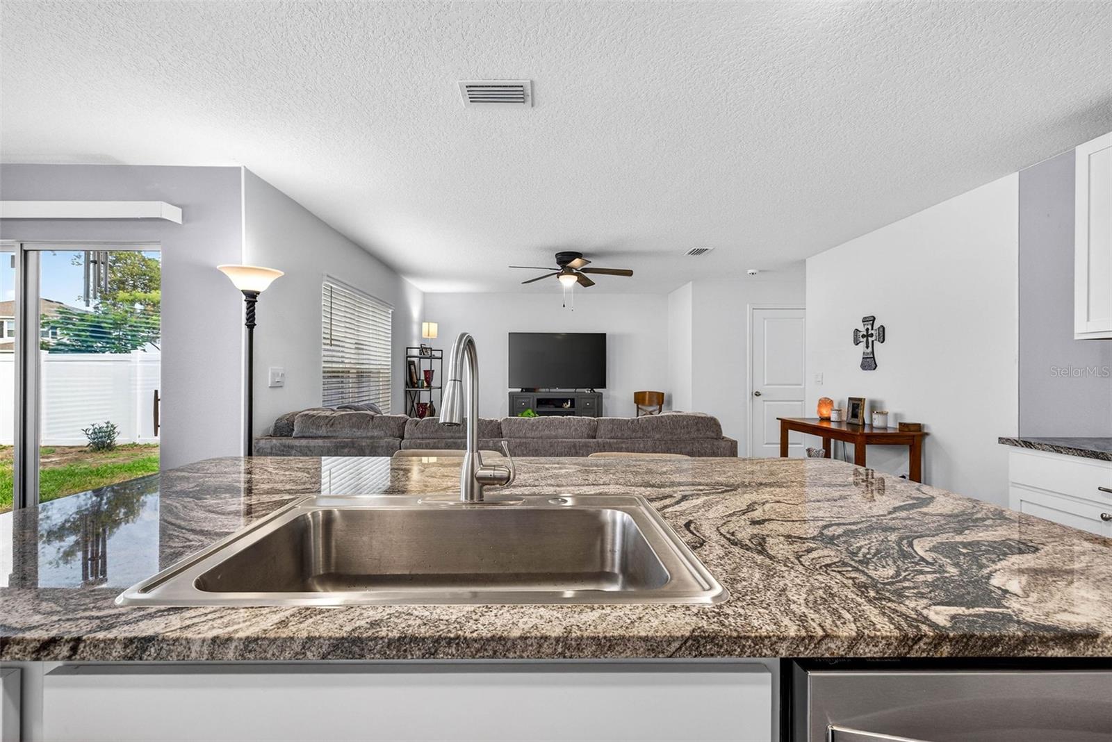 13765 Whiskey Daisy Dr Property Photo 11