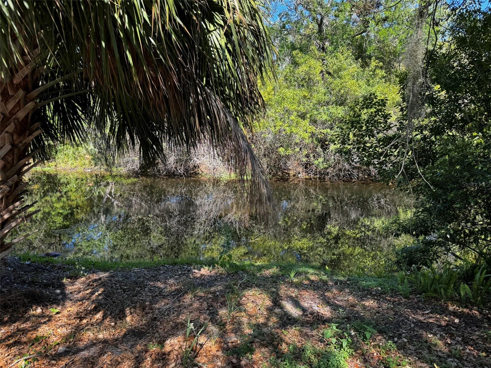 12302 Cobble Stone Dr Property Photo 34