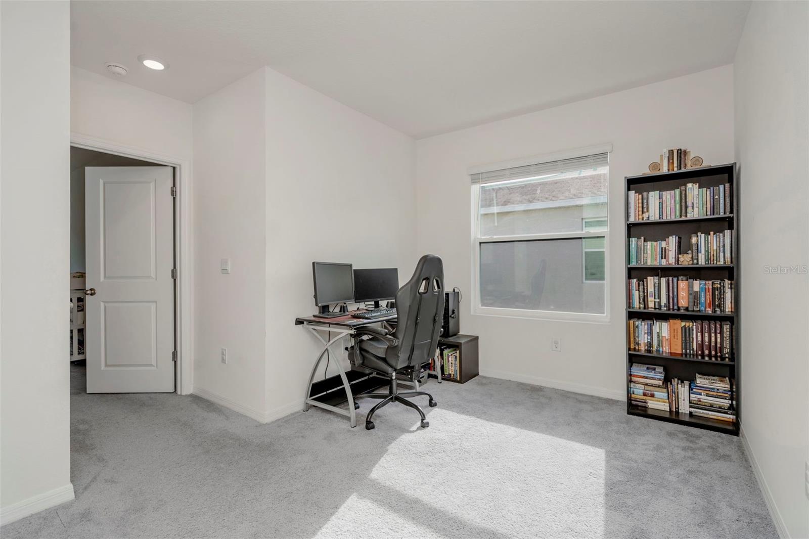 17226 Amber Aspen Way Property Photo 15