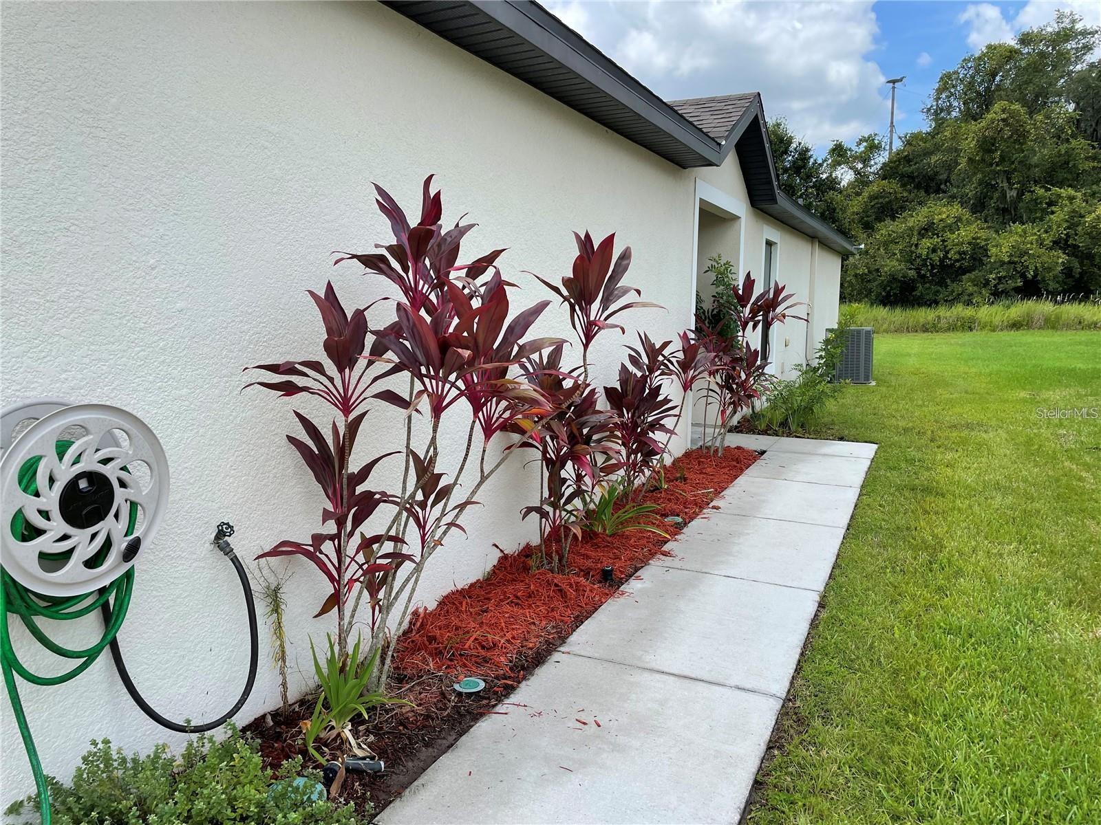5578 Maggiore Blvd Property Photo 2
