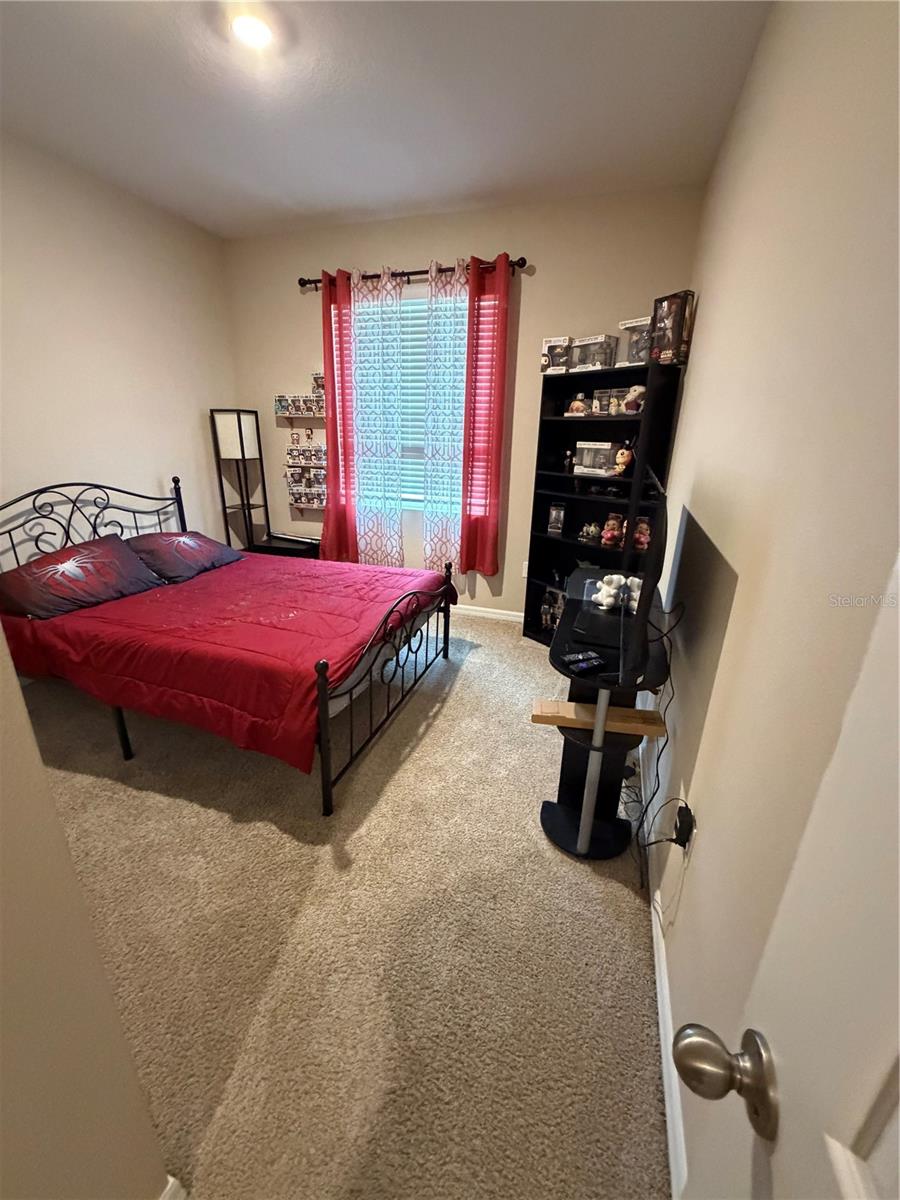 31406 Mango Fade Way Property Photo 5
