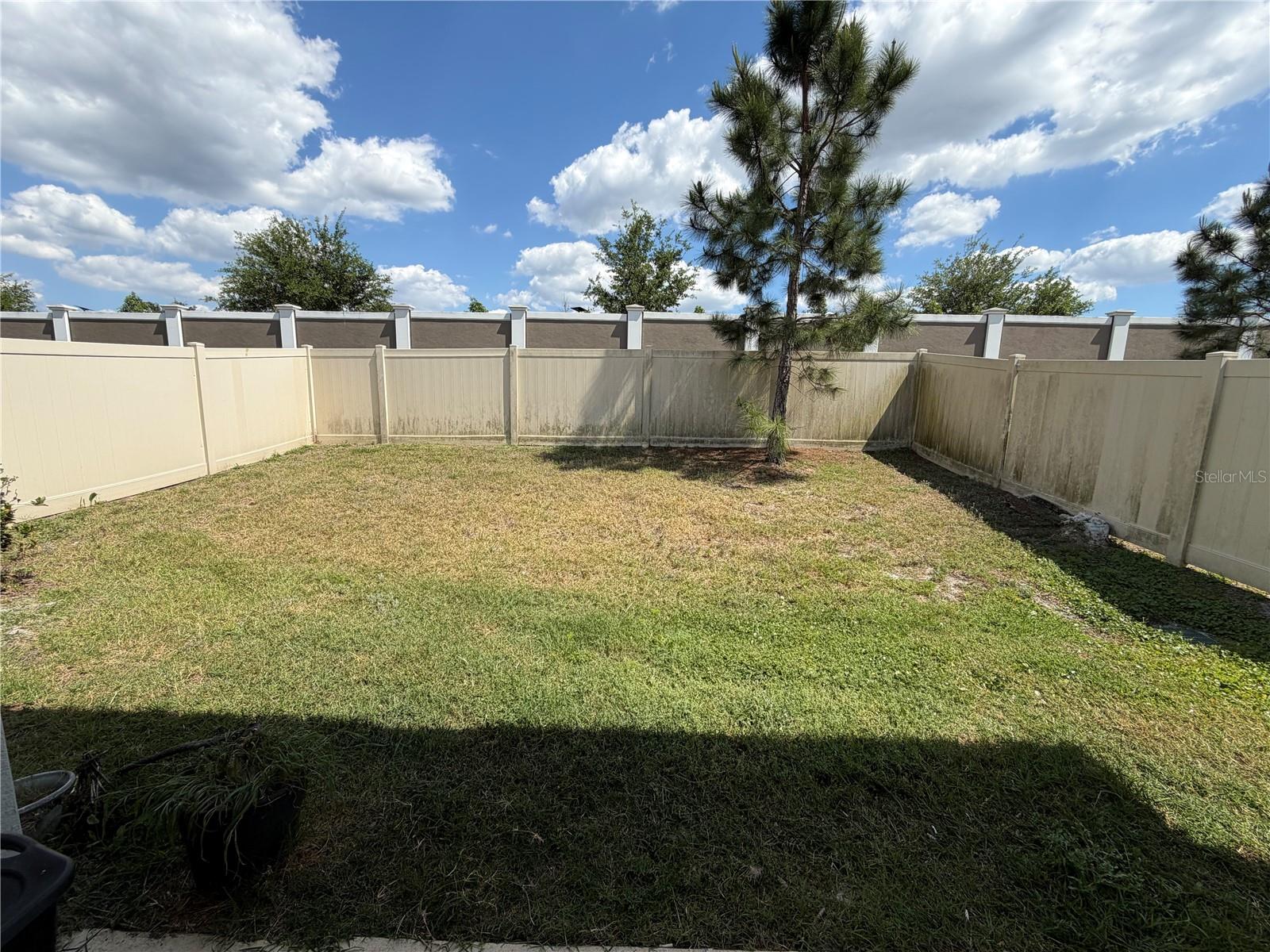 31406 Mango Fade Way Property Photo 6