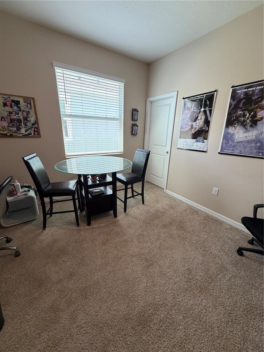 31406 Mango Fade Way Property Photo 11