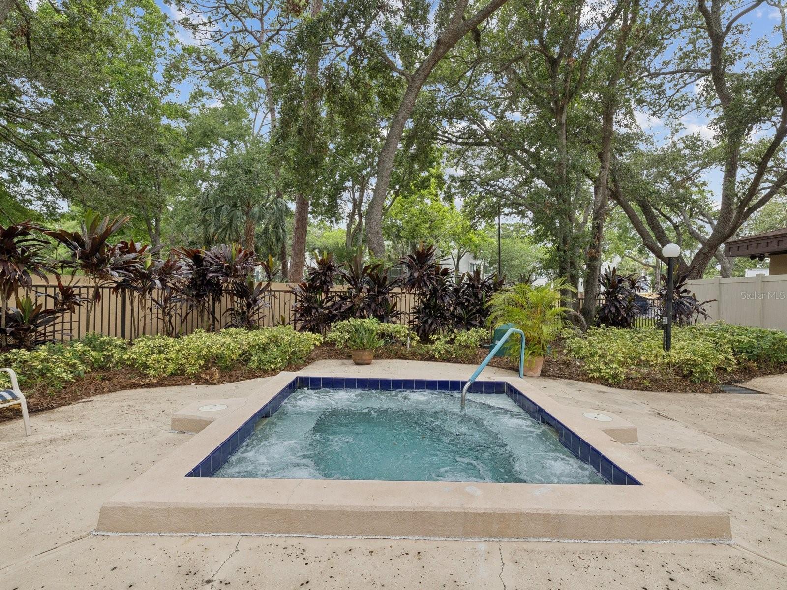 3078 Eastland Blvd #309 Property Photo 46