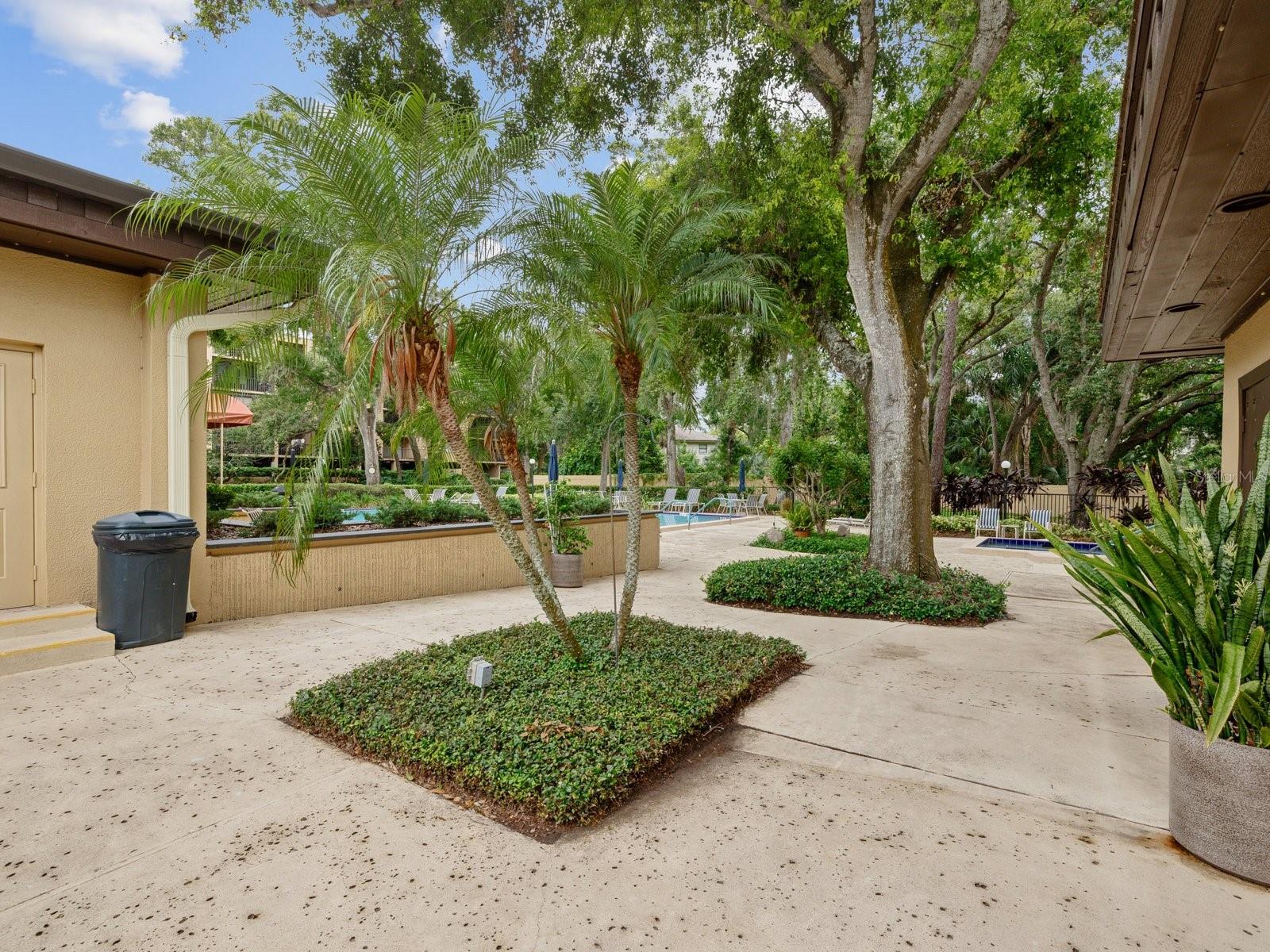 3078 Eastland Blvd #309 Property Photo 48