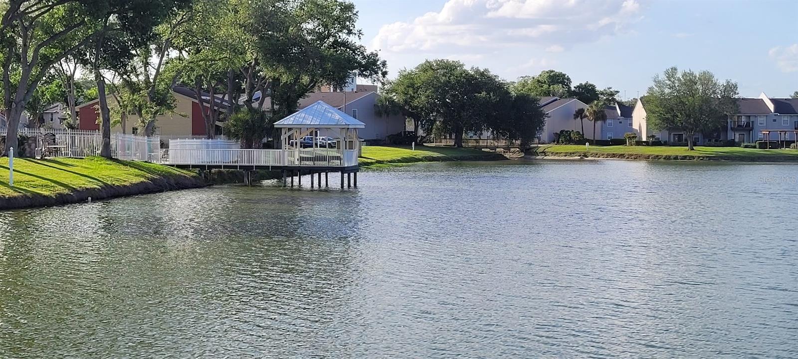 302 Lake Parsons Grn #102 Property Photo 16